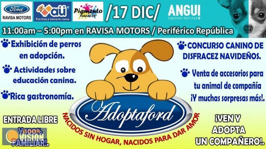 Este sábado 17 de diciembre se llevará a cabo una feria de exhibición de perros en adopción