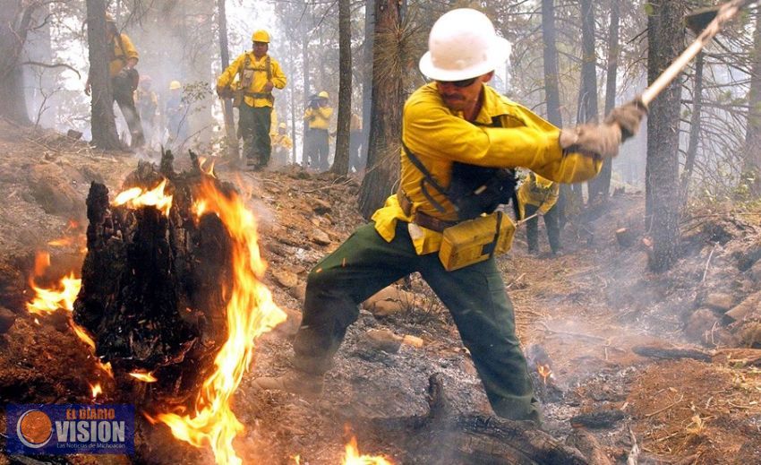 Michoacán ahora cuenta con medidas especiales para evitar incendios forestales 