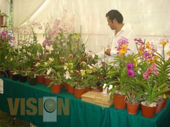 Dio inicio la Exposición Regional de Orquídeas 2011, en el Orquidario del Centro de Convenciones