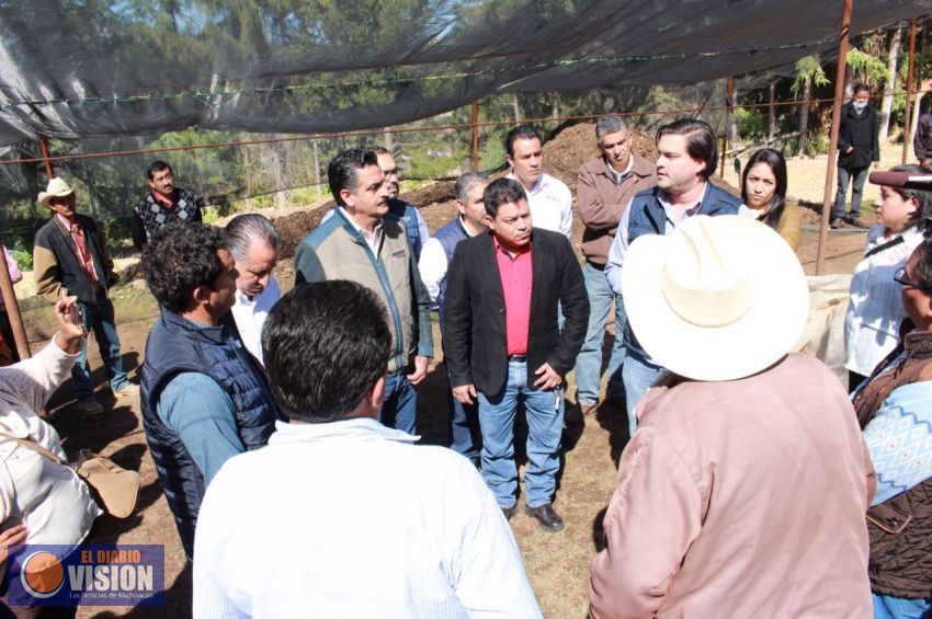 Santuario de Sierra Chincua Una belleza más de Michoacán que debes conocer   