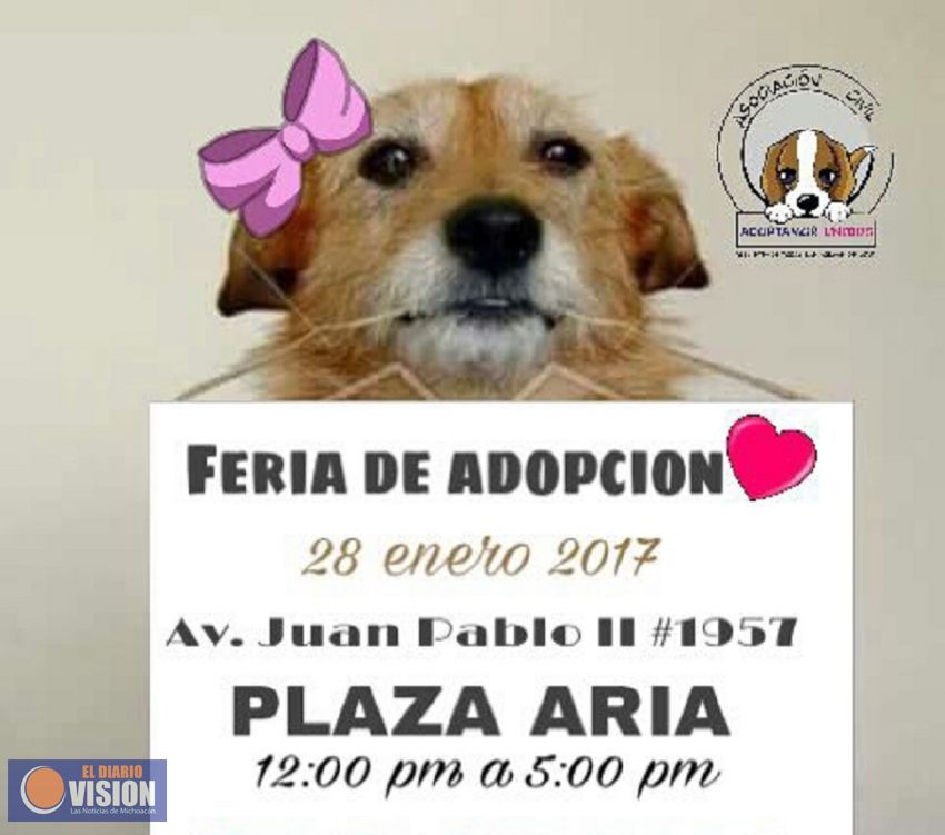 Este sábado la asociación animalista Adoptamor realizará una Feria de Adopción de mascotas