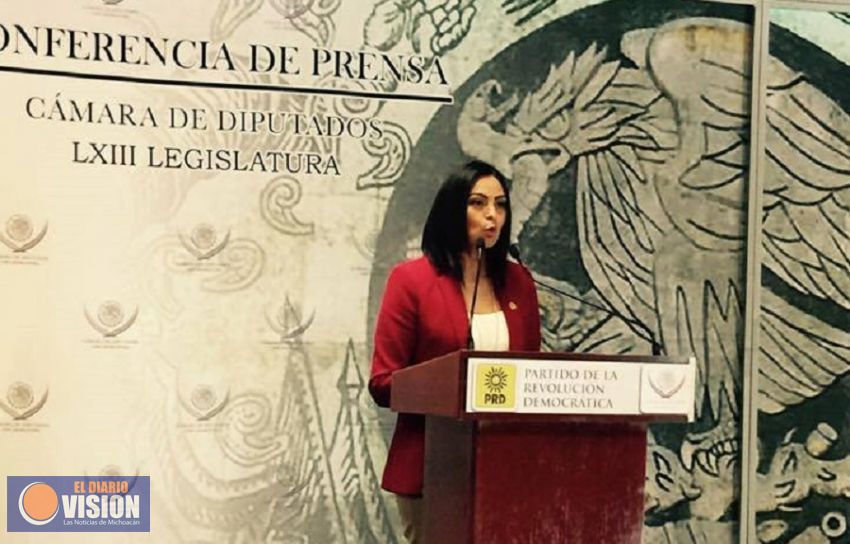 La diputada federal Araceli Saucedo, presenta punto de acuerdo para proteger remesas que envían