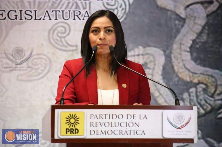 Silvano Aureoles, la propuesta más firme de la Izquierda, a la Presidencia de México: Araceli 
