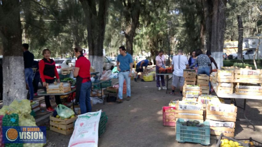 Inicia venta de productos del campo en la Kermés del DIF: Sedrua   