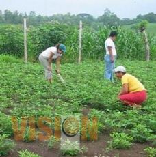 Anuncia Coecyt Congreso de Productos Naturales