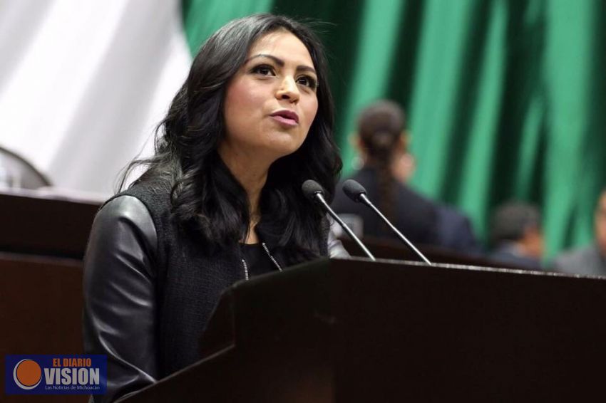 Gobierno Federal debe buscar nuevos mercados para el aguacate mexicano: Araceli Saucedo
