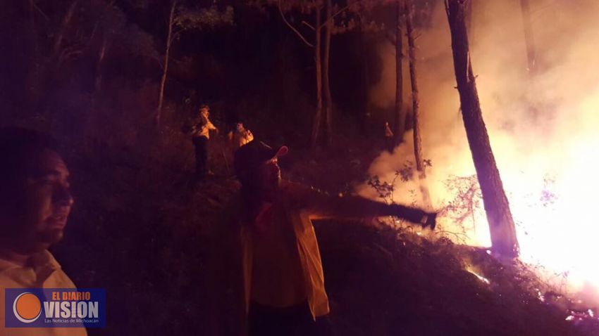 Daños irreversibles al medio ambiente, ocasiona incendio provocado en Uruapan: Victor Manríquez