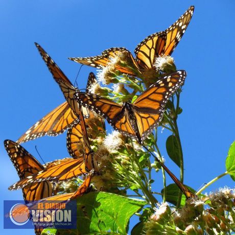 El Programa Vende Más, llega al oriente michoacano