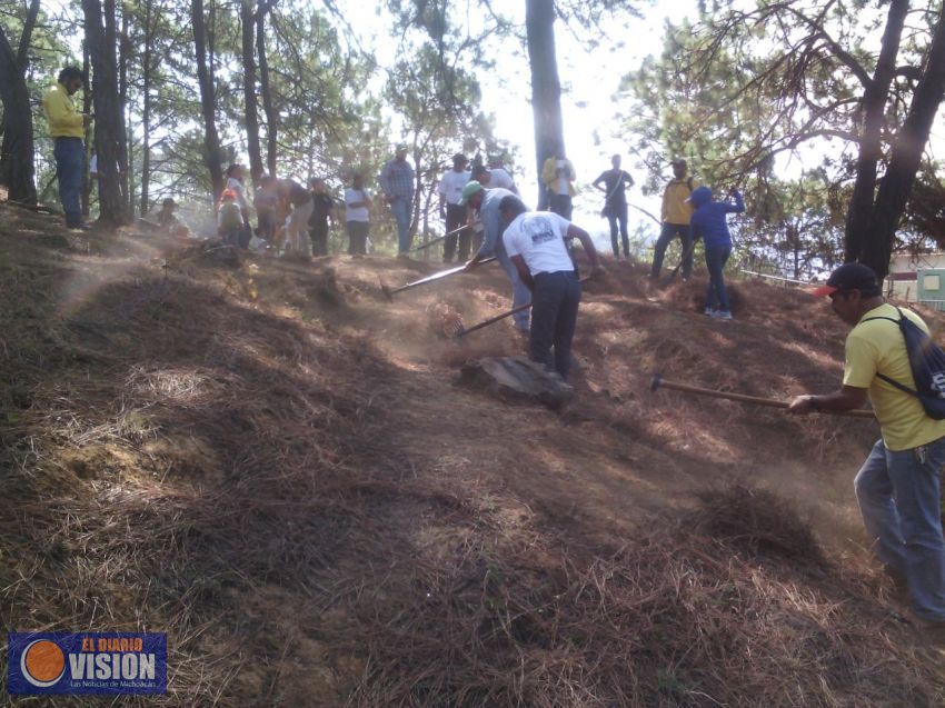 Real la participación ciudadana en el cuidado de los bosques