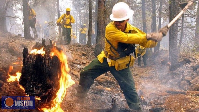Cada día cientos de brigadistas combaten los incendios forestales en Michoacán   