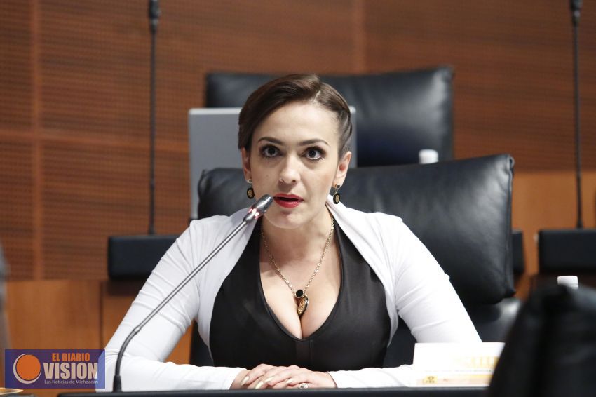 Exigimos que se garanticen los derechos humanos y la justicia en Arantepacua y se castigue 