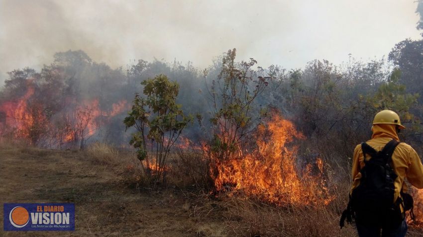 Se trabaja para controlar incendio en El Zapién 