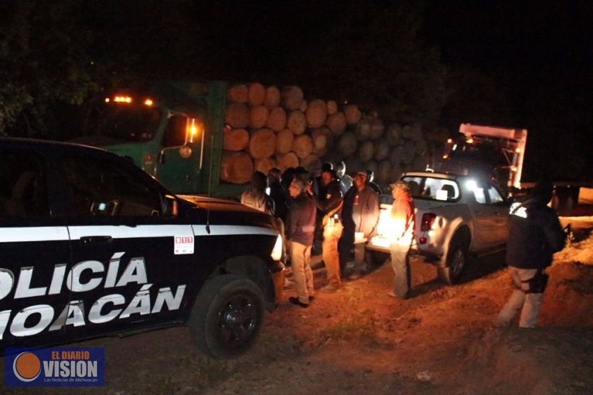 Morelia, municipio con mayor tala clandestina 