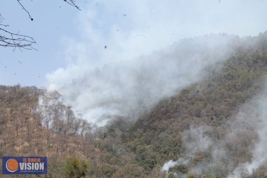Presenta Pátzcuaro denuncia por incendios ante mesa de seguridad ambiental 