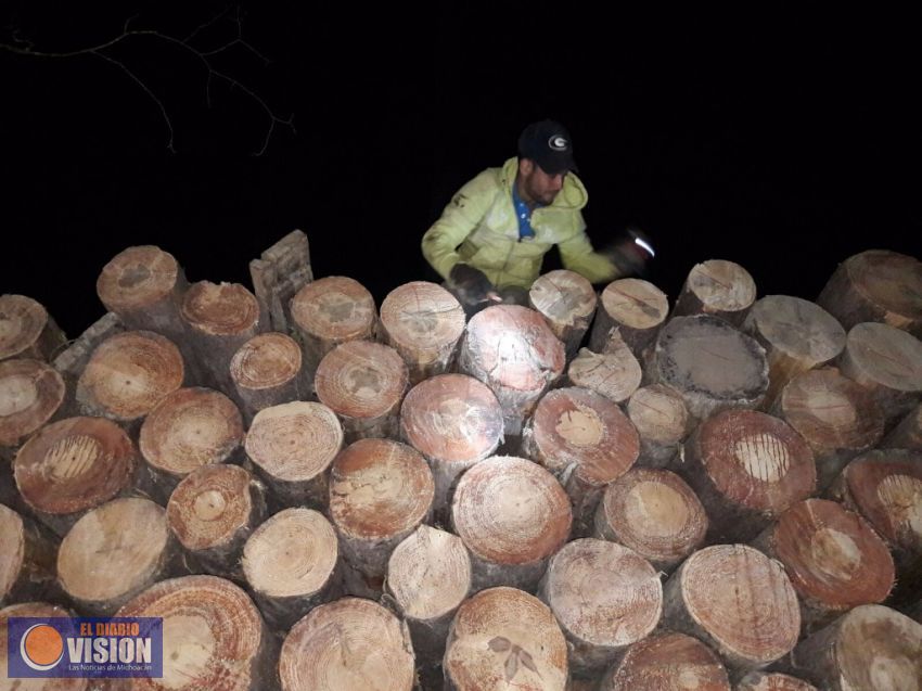 Incautaron 5 metros cúbicos de madera ilegal en Morelia 