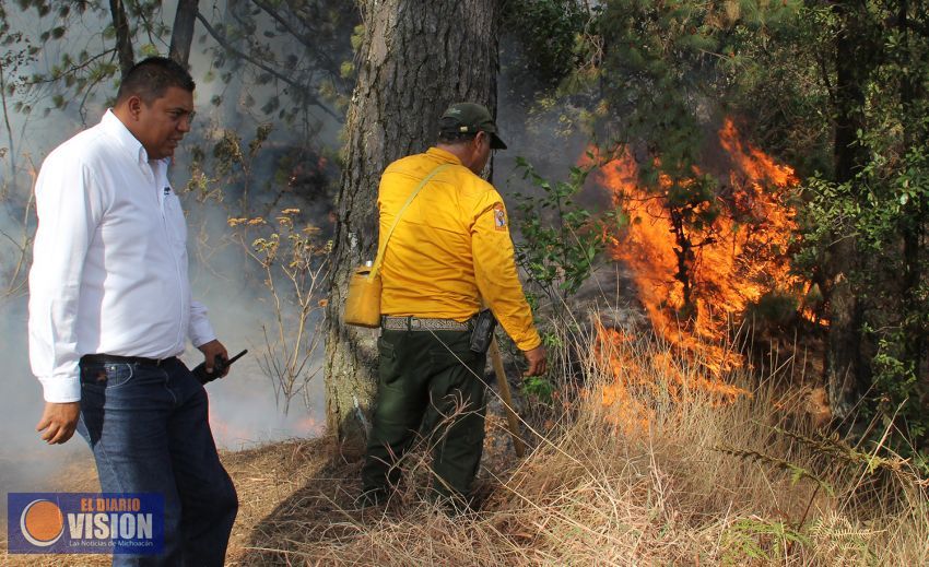 Lograron sofocar brigadistas y vecinos incendio forestal en el cerro de La Charanda