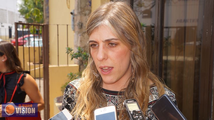 Michoacán tiene avances en su Alerta de Género: SEGOB