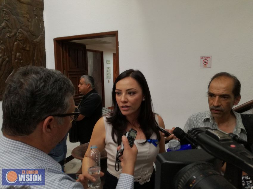 Se politiza tema del desmantelamiento de huertas de aguacate en Michoacán:Adriana Hernández