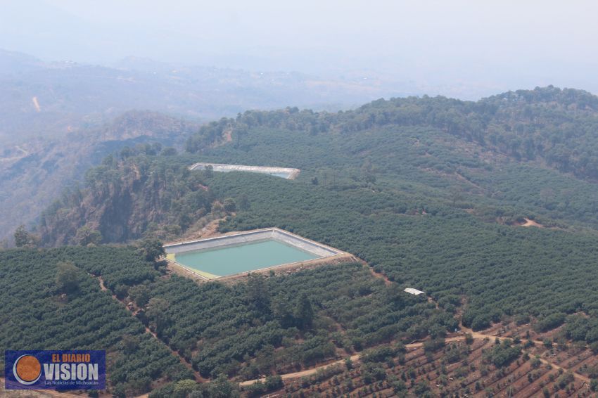 Fuera de la Ley, inspecciones forestales que realiza gobierno de Michoacán a huertas aguacateras
