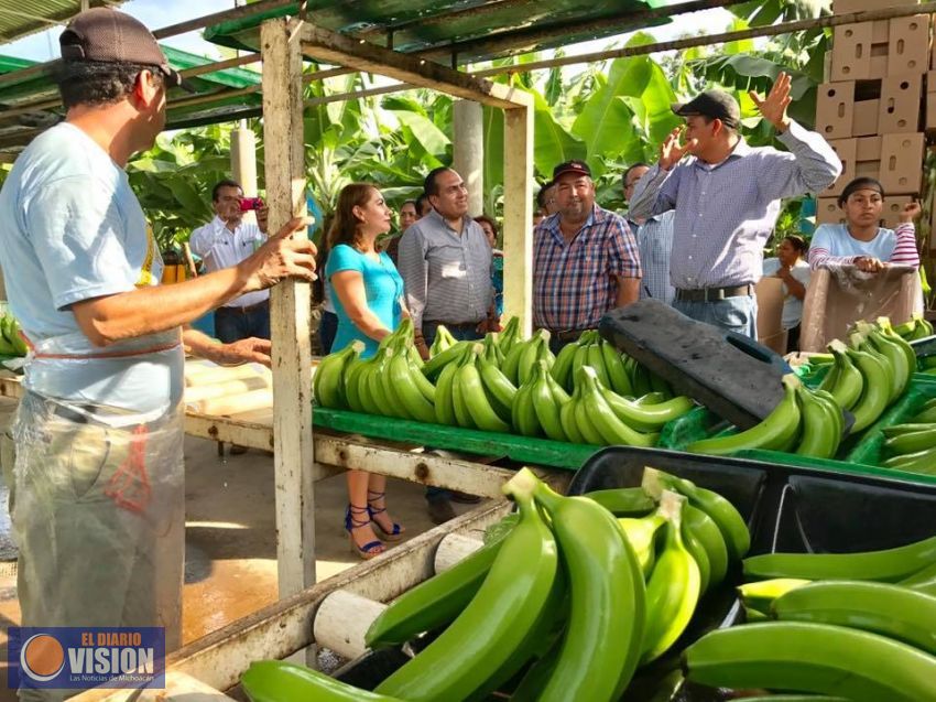 Apuesta Sedesol-INAES por la generación de empleo