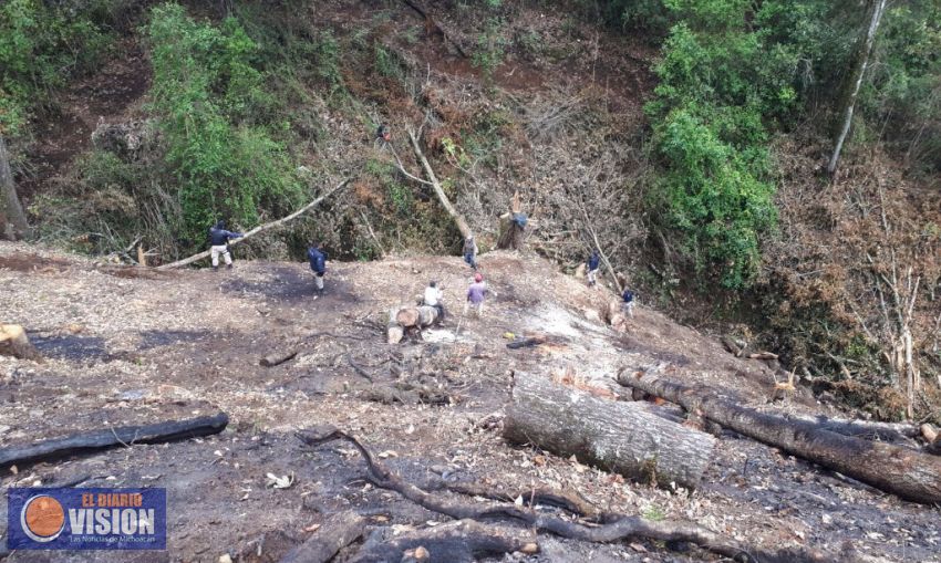Operativo de la Mesa de Seguridad Ambiental logra detener cambio ilegal de uso de suelo