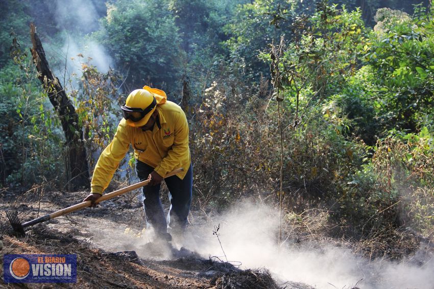 Disminuyó en 2017, superficie afectada por incendios forestales en Uruapan