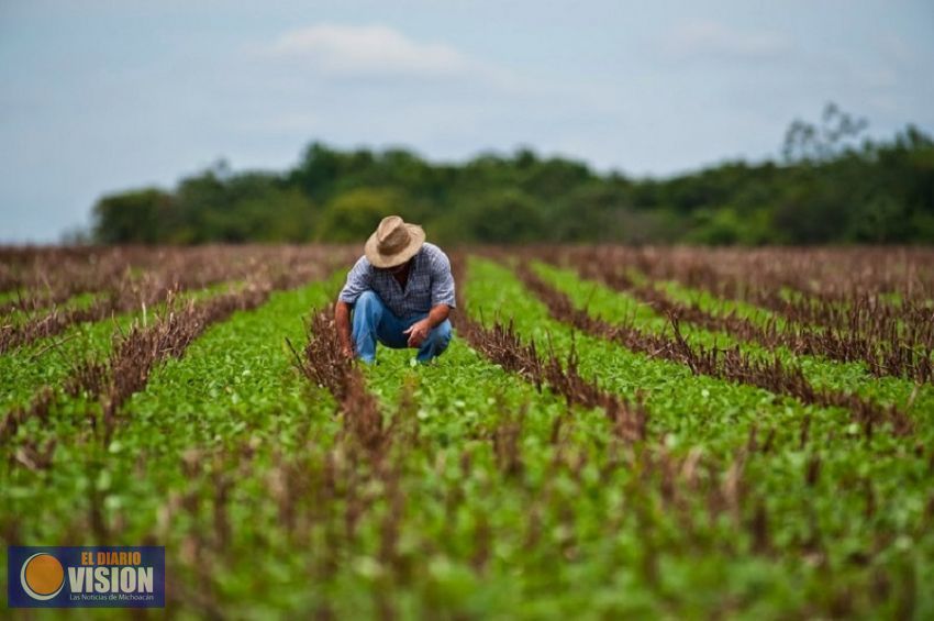 Invitan a nicolaitas a participar en programa de cooperación a favor de la Agricultura