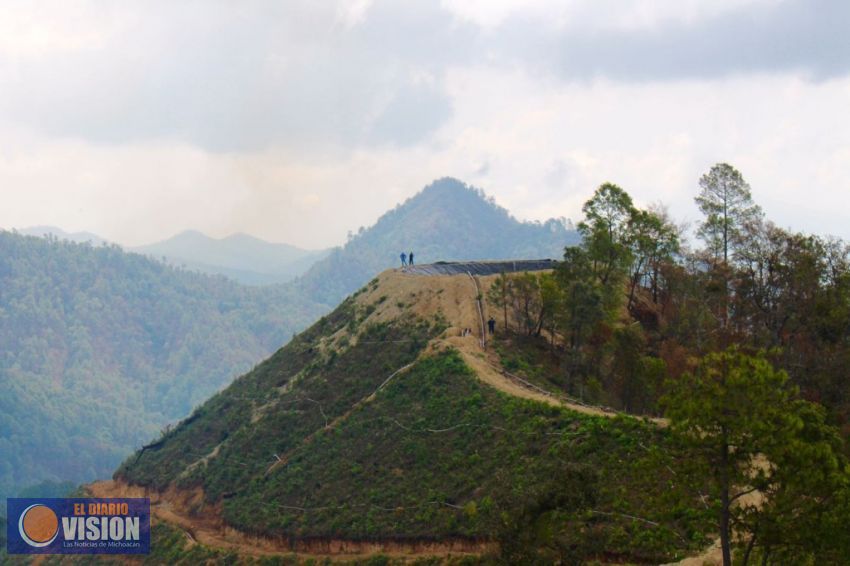 Mesa de Seguridad Ambiental realiza nuevo operativo para desalentar el cambio de uso de suelo   
