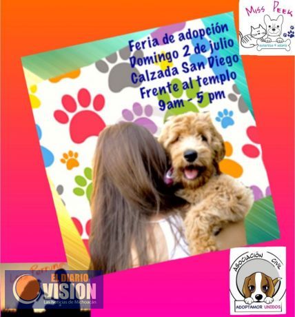 Este domingo 2 de julio, Feria de adopción canina  y felina en la Calzada de San Diego