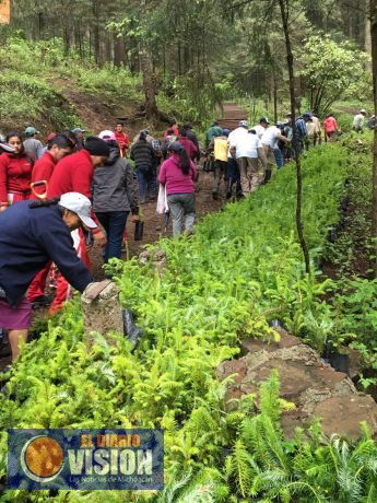 Arranca PRI reforestación en el Ejido El Rosario 