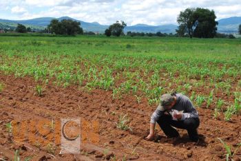 Morelia, aún sin afectaciones por sequías en el campo: Ramón Cano 