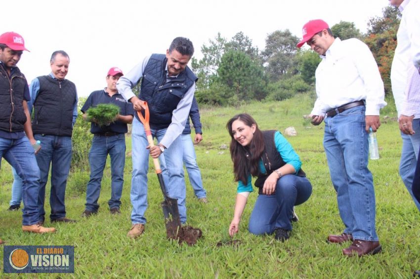 Reforestación de la reserva Pico Azul-La Escalera contó con gran participación ciudadana   