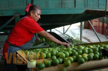 Compradores internacionales crean compromisos de negocios