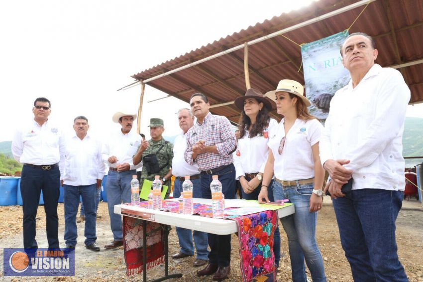 Busca Gobernador que Michoacán sea principal productor de tilapia 