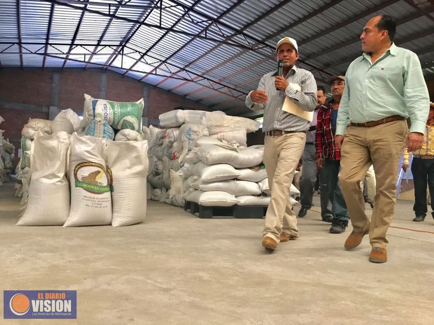 Reciben recursos pequeños productores de lenteja de Coeneo
