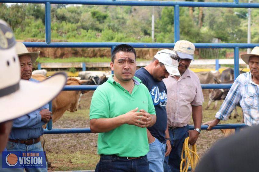 Edil de Coeneo da continuidad al programa de vacunación de ganado en comunidades