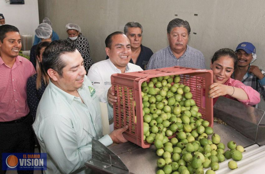 Generación de empleo y derrama económica, resultado de la inclusión productiva que promueve SEDESOL
