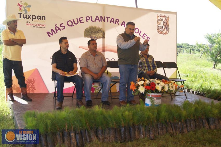 Alcalde Jesús Mora hace entrega de árboles para reforestar espacios públicos
