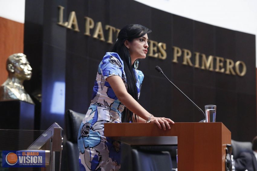 Gobierno de Michoacán debe informar sobre hechos de Arantepacua.