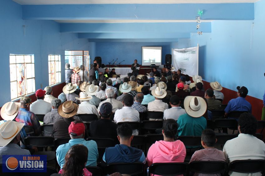 Decretarán 50 mil hectáreas en Michoacán como Área Natural Protegida a