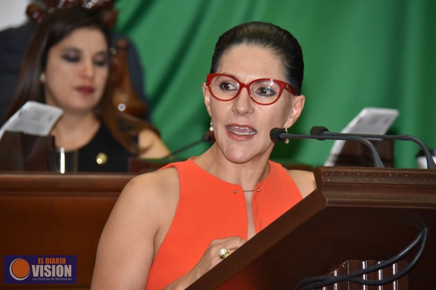 Urge que proporcionen informe de los avances del programa 