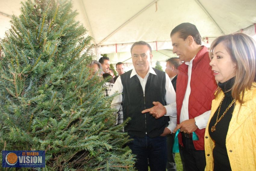 Michoacán comercializará 17 mil árboles de Navidad: Sigala