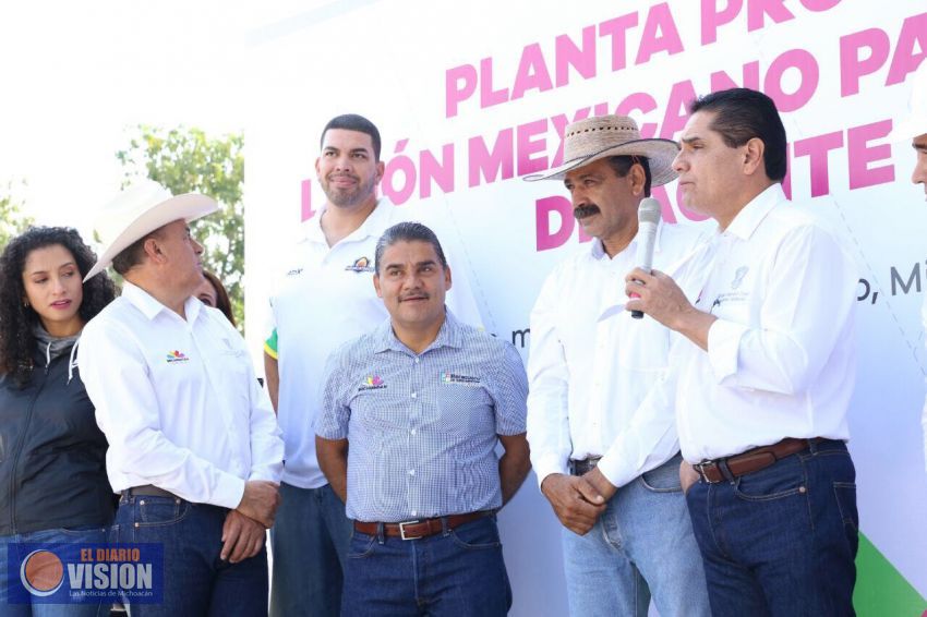 Arrancarán en Tierra Caliente Academias de Básquetbol 