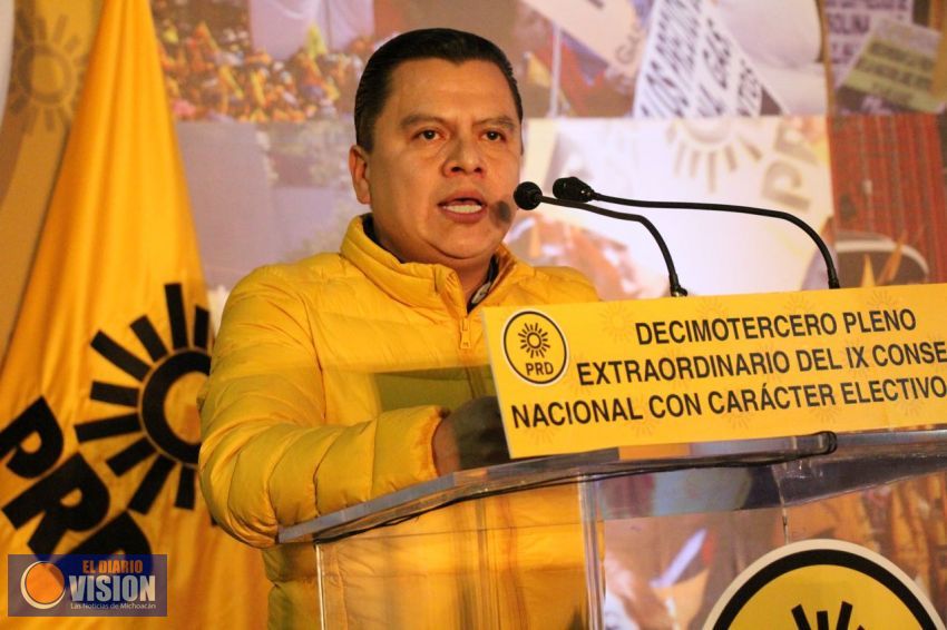 El PRD dio muestras de que es un partido sólido; Torres Piña