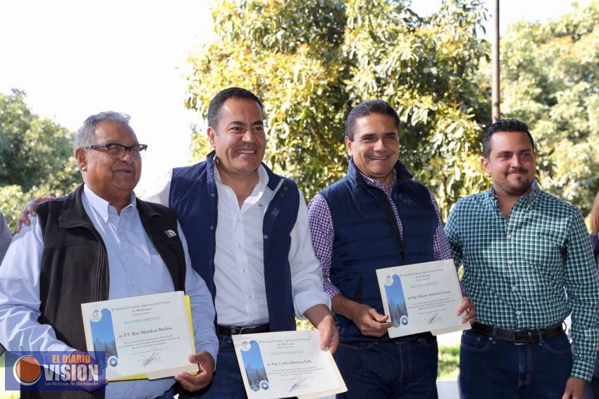 Zitácuaro, libre de plagas cuarentenarias del aguacate