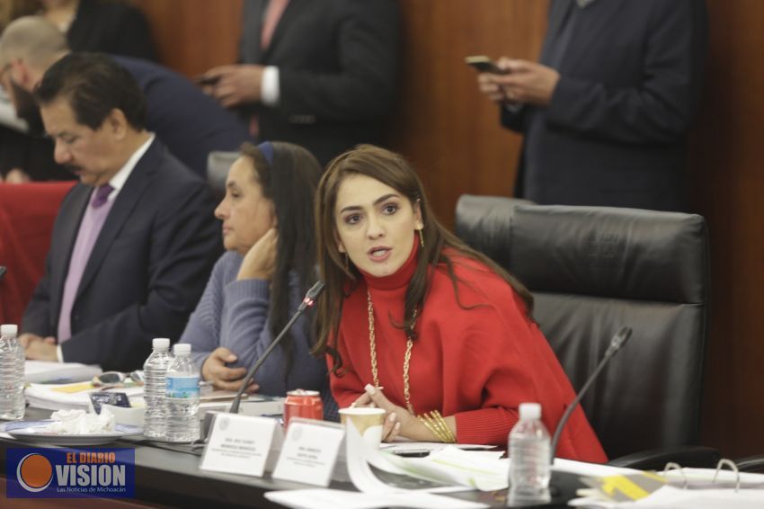 Esta Ley de Seguridad Interior es totalmente inconstitucional: Iris Mendoza