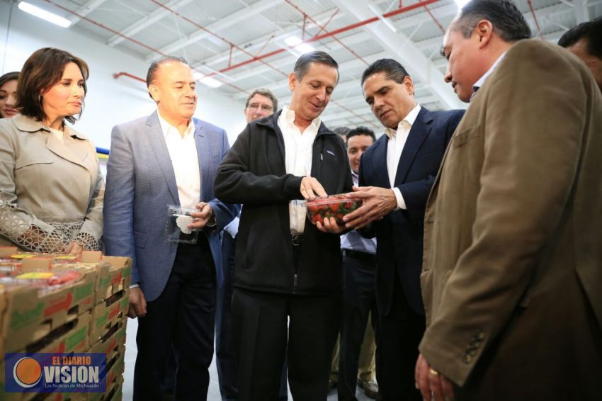 Contará corredor de producción de berries con Programa Especial de Seguridad: Silvano Aureoles