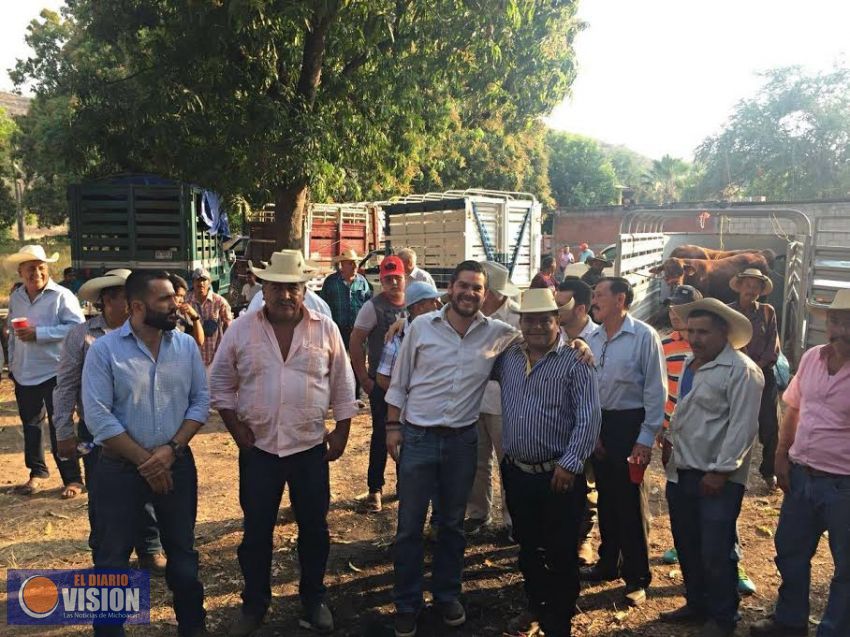 La CNPR transforma ganadería en la tierra caliente de Michoacán
