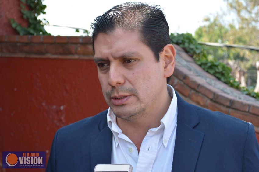 Preocupa al PVEM tema de inseguridad afecte a la participación de los pre candidatos 