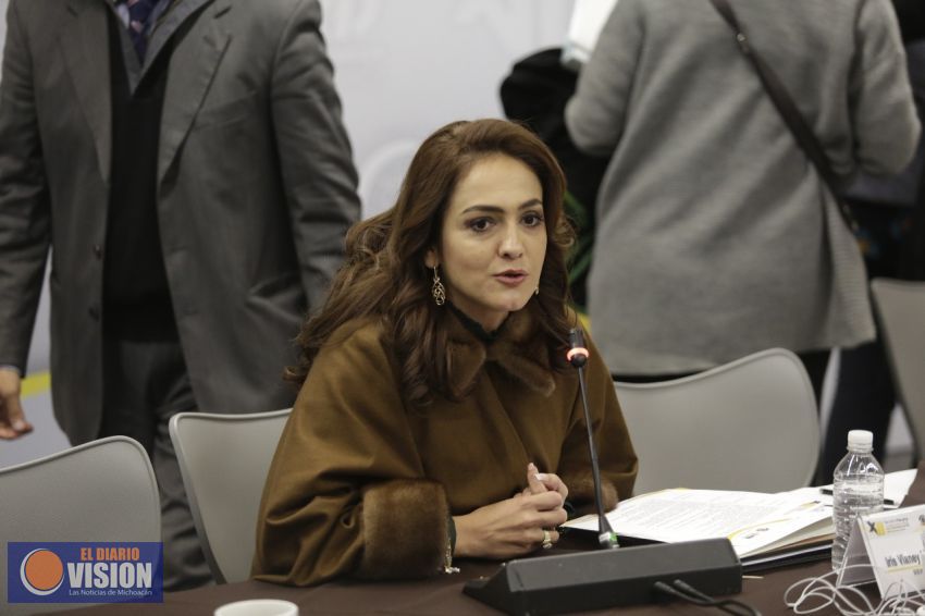 GPPRD del Senado priorizamos 4 temas y 10 iniciativas en materia política: Iris Vianey Mendoza
